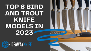 Top 6 Bird and Trout Knife Models in 2023